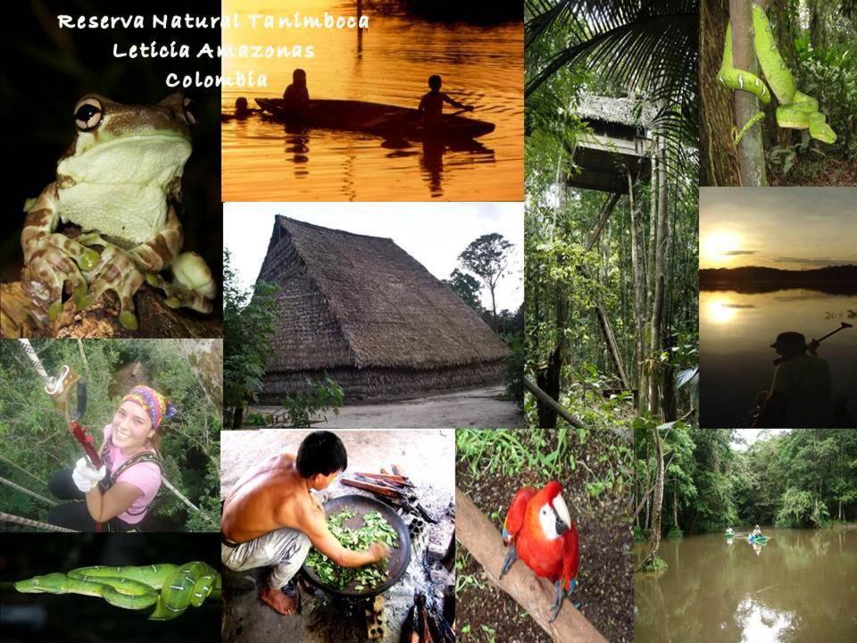 Reserva Natural Tanimboca Leticia Exterior photo