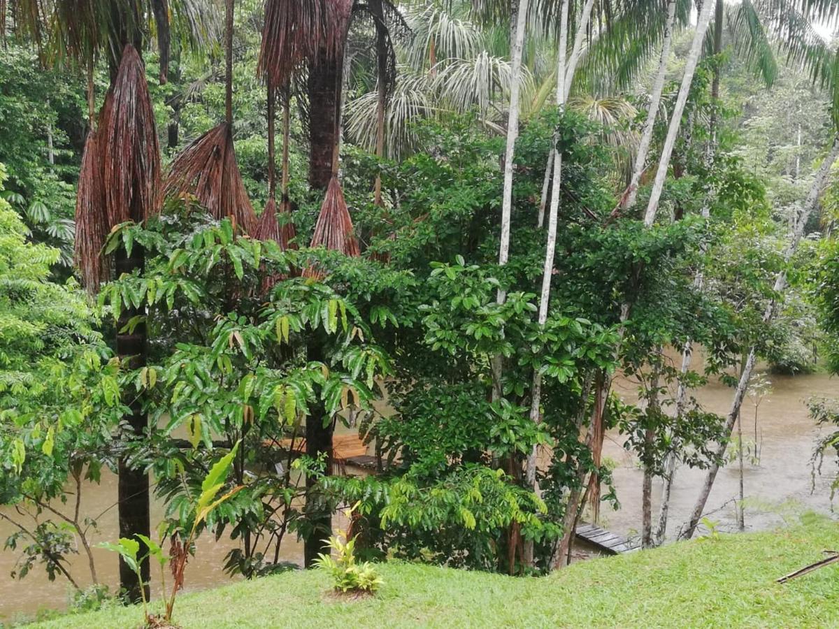 Reserva Natural Tanimboca Leticia Exterior photo