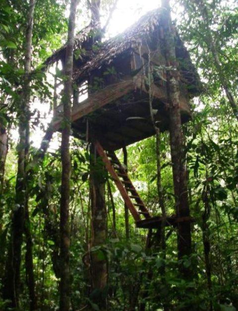 Reserva Natural Tanimboca Leticia Exterior photo