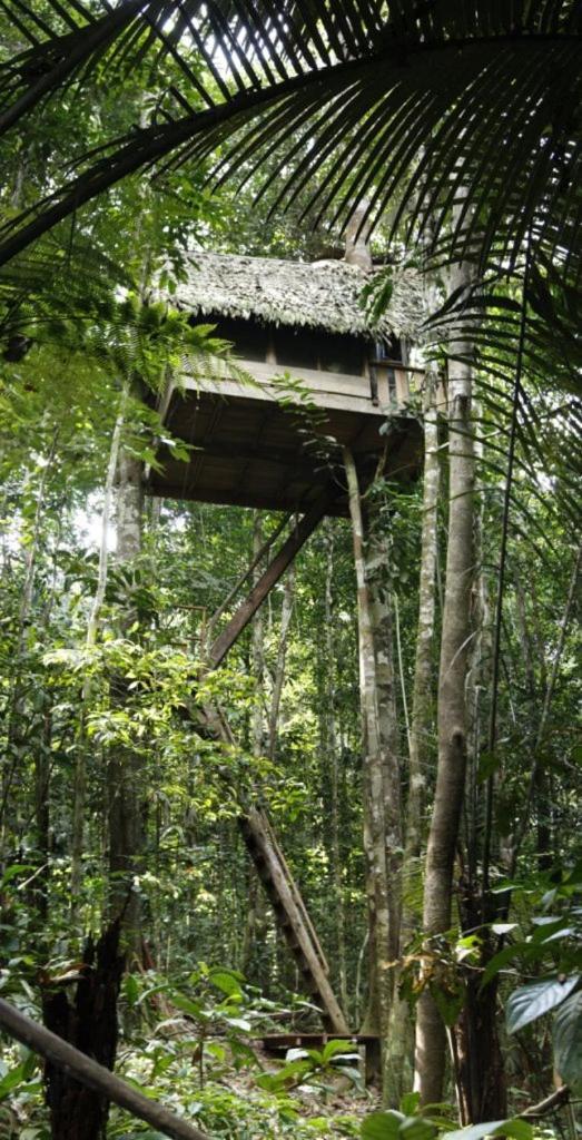 Reserva Natural Tanimboca Leticia Exterior photo
