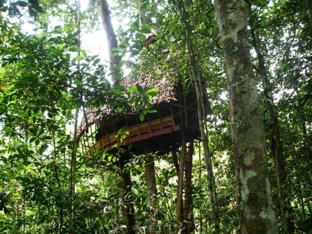 Reserva Natural Tanimboca Leticia Exterior photo