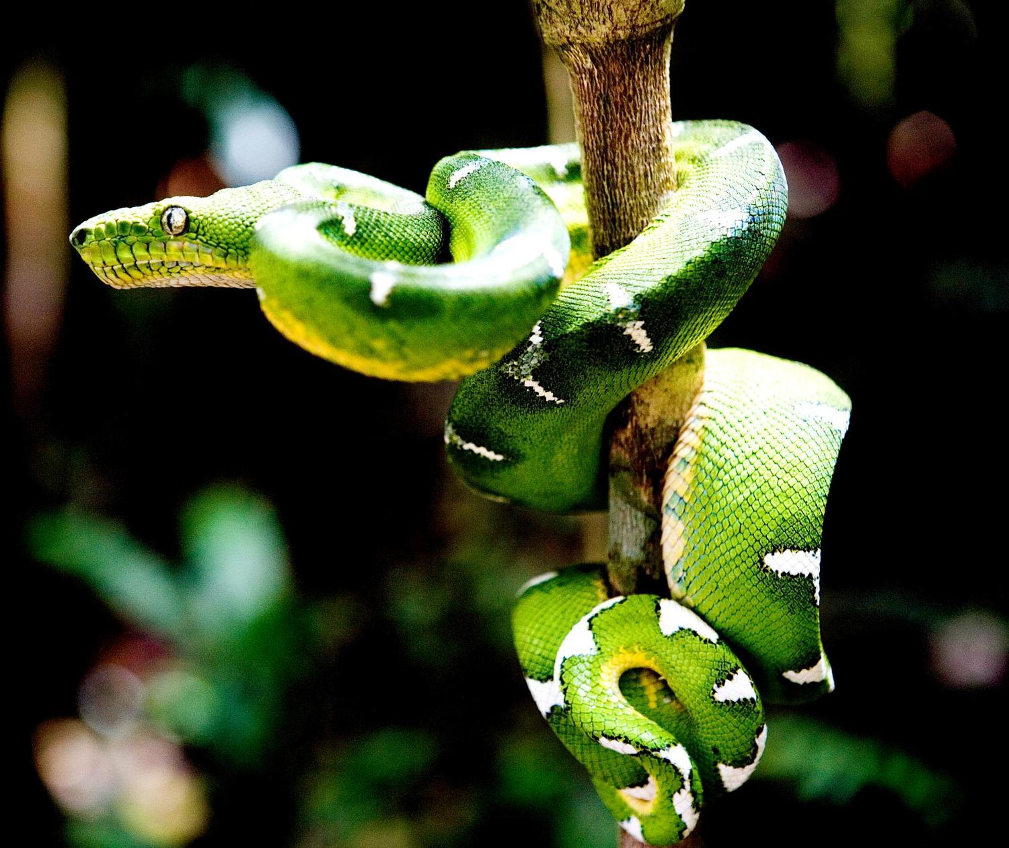 Reserva Natural Tanimboca Leticia Exterior photo