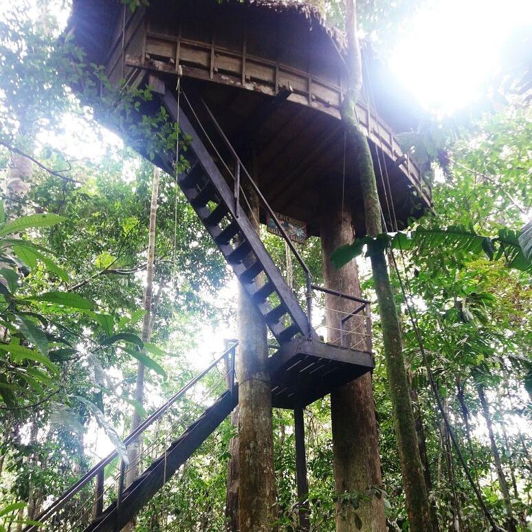 Reserva Natural Tanimboca Leticia Exterior photo